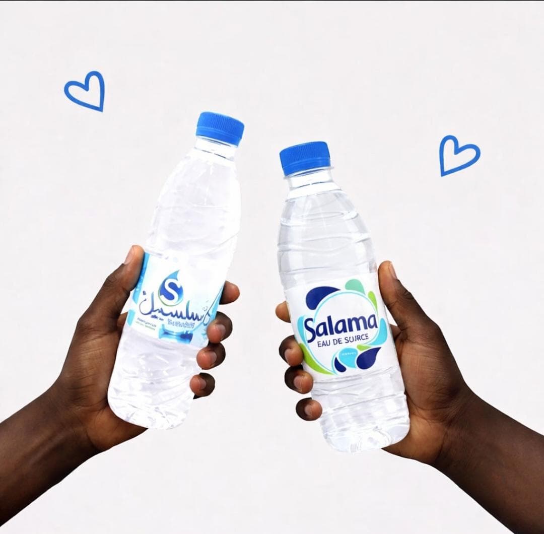 12pcs/500ml. Eau  de source 