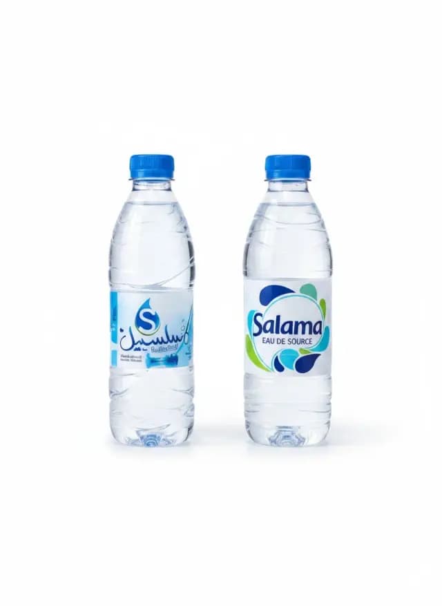 Eau de source Salsabil 500ml